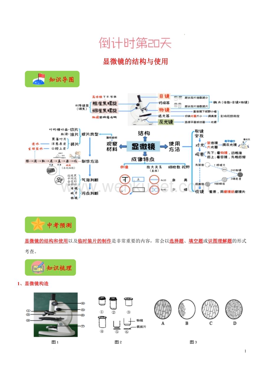 生物（一）-2023年中考考前20天终极冲刺攻略.docx_第3页